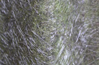 Bangors fibreglass roof work